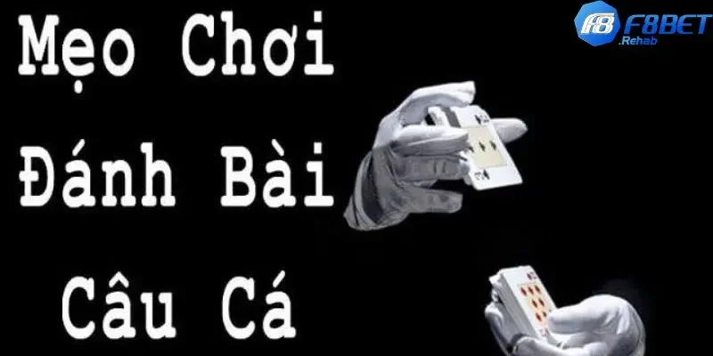 Game Bài Câu Cá – Khám Phá Cách Chơi Và Chiến Lược Thắng Lợi 5 Mẹo chơi bài câu cá để thắng lớn từ chuyên gia chia sẻ