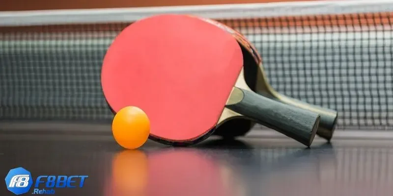 Cá Độ Bóng Bàn Là Gì Và Mẹo Hay Cho Người Mới Tham Gia 4 Luật cá độ bóng bàn và những quy định bạn cần biết
