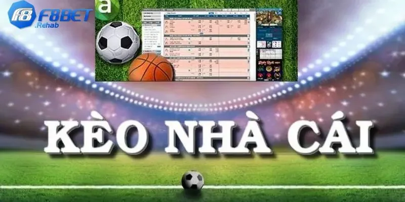 Tổng Hợp Các Loại Tỷ Lệ Kèo Bóng Đá Phổ Biến Bạn Nên Biết 4 Kinh nghiệm đọc các loại tỷ lệ kèo bóng đá đơn giản và hiệu quả